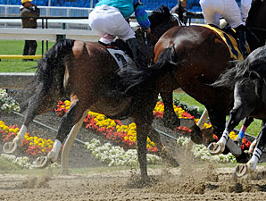 Preakness TV Ratings Down, But OK Preakness TV Ratings Down, But OK