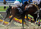 Preakness TV Ratings  Down, But OK