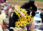 The Preakness Party: It's for Winners The Preakness Party: It's for Winners
