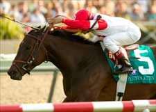 Frankel Duo Clear Standouts in Palomar Handicap Frankel Duo Clear Standouts in Palomar Handicap