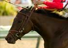 Frankel Duo Clear Standouts in Palomar Handicap