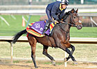 Breeders' Cup Chat: Ten Longshots to Consider Breeders' Cup Chat: Ten Longshots to Consider
