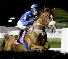 Preemptive Strike Wins Meadowlands 'Chase Preemptive Strike Wins Meadowlands 'Chase
