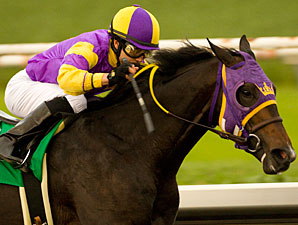 Premier Pegasus Still Perfect After Prevue Premier Pegasus Still Perfect After Prevue