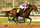 Ky. Derby Trail: Cho, Mo, and Go Show