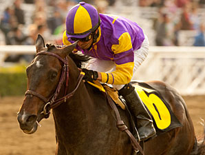 Premier Pegasus Out of Santa Anita Derby Premier Pegasus Out of Santa Anita Derby