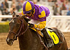 Premier Pegasus Out of Santa Anita Derby