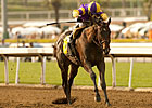 Derby Dozen - March 14, 2011