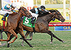 Proctor Sends Out Sharp Pair in Wilshire 'Cap Proctor Sends Out Sharp Pair in Wilshire 'Cap