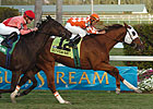 Presious Passion Set for Pan American 