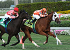 Presious Passion Game in Mac Diarmida 