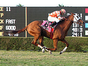 Millions Turf Looks To Be Wide Open Millions Turf Looks To Be Wide Open