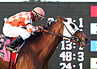 Old Turf Runners Gather in Mac Diarmida Old Turf Runners Gather in Mac Diarmida