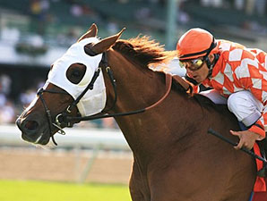 Grade I Winner Presious Passion Retired Grade I Winner Presious Passion Retired