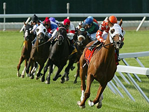 Presious Passion Smashes Course Record in UN Presious Passion Smashes Course Record in UN