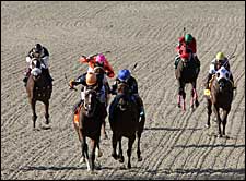 Tapeta Surface Focus of Presque Isle Meet Tapeta Surface Focus of Presque Isle Meet
