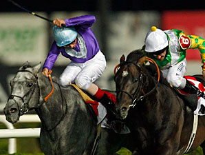 British Horses Dominate Races in Turkey British Horses Dominate Races in Turkey