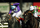 British Horses Dominate Races in Turkey