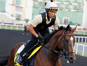 Top Group I Winner Presvis Dies from Colic Top Group I Winner Presvis Dies from Colic