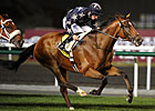 Presvis Seeks to Repeat in Dubai Duty Free Presvis Seeks to Repeat in Dubai Duty Free