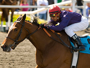 Bejarano Steals Show in California Gold Rush Bejarano Steals Show in California Gold Rush