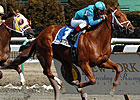 Primary Suspect Sires First Winner Primary Suspect Sires First Winner