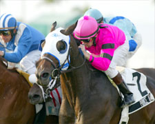 Could Prince Arch Rule in Dubai? Could Prince Arch Rule in Dubai?