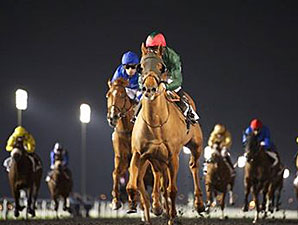 Prince Bishop Sizzles in Maktoum Challenge Prince Bishop Sizzles in Maktoum Challenge