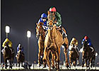 Prince Bishop Sizzles in Maktoum Challenge Prince Bishop Sizzles in Maktoum Challenge
