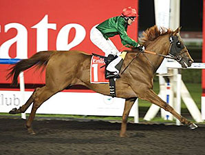 Prince Bishop Makes Strong Meydan Statement Prince Bishop Makes Strong Meydan Statement
