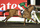 Prince Bishop Makes Strong Meydan Statement Prince Bishop Makes Strong Meydan Statement