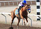 Undefeated Princess Arabella Retired