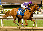 Princess Arabella Headlines Sunland Park Oaks Princess Arabella Headlines Sunland Park Oaks
