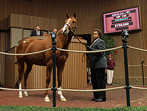 Potesta, Princess Arabella Bring Big Prices Potesta, Princess Arabella Bring Big Prices