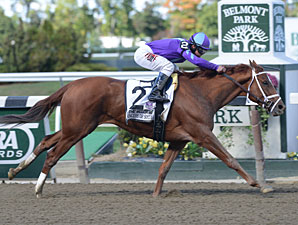 Princess of Sylmar Works at Palm Meadows Princess of Sylmar Works at Palm Meadows