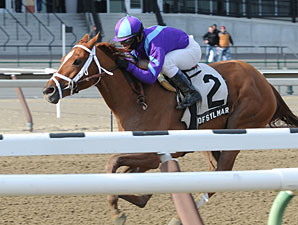 Princess of Sylmar One to Watch in Gazelle Princess of Sylmar One to Watch in Gazelle