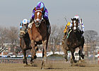 Busher: Princess of Sylmar Continues Success