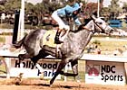 Champion Princess Rooney Dead