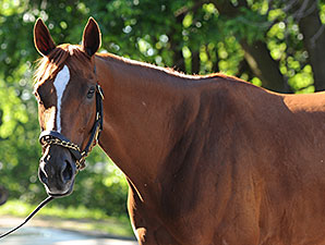 Princess of Sylmar Sparks Regional Pride