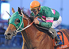 'Prospect,' Sarah Sis Head Futurity, Lassie 'Prospect,' Sarah Sis Head Futurity, Lassie