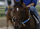 Private Vow to Red River Farms Private Vow to Red River Farms