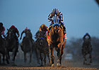 Private Zone Goes Wire to Wire in Cigar Mile Private Zone Goes Wire to Wire in Cigar Mile