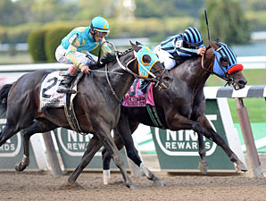 Private Zone Targets Breeders' Cup Sprint Private Zone Targets Breeders' Cup Sprint