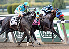 Private Zone Targets Breeders' Cup Sprint Private Zone Targets Breeders' Cup Sprint