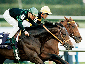 BC Turf Winner Prized to Old Friends BC Turf Winner Prized to Old Friends