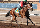 2014 New Mexico Champions Announced 2014 New Mexico Champions Announced