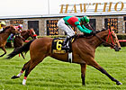 Proceed Bee Stings Hawthorne Derby Field