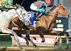 Proceed Bee Stands Out in Connally Turf Cup Proceed Bee Stands Out in Connally Turf Cup