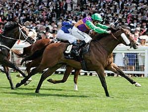 Prohibit Won't be Denied in King's Stand Prohibit Won't be Denied in King's Stand