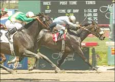 Proposed Leads Her Own Parade at Hollypark Proposed Leads Her Own Parade at Hollypark